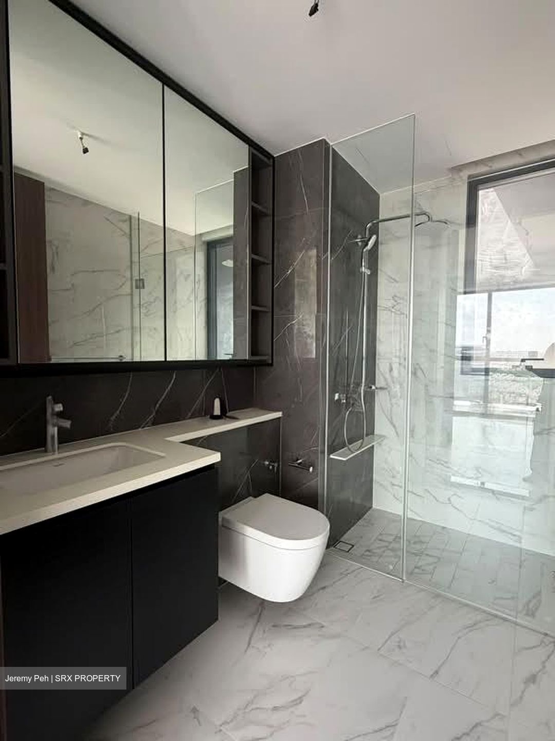 Bartley Vue (D19), Apartment #581873481